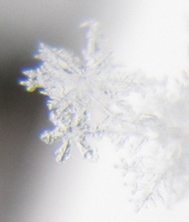 b0183566_8575480.jpg