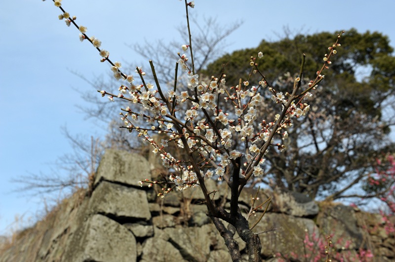 b0131167_23365717.jpg