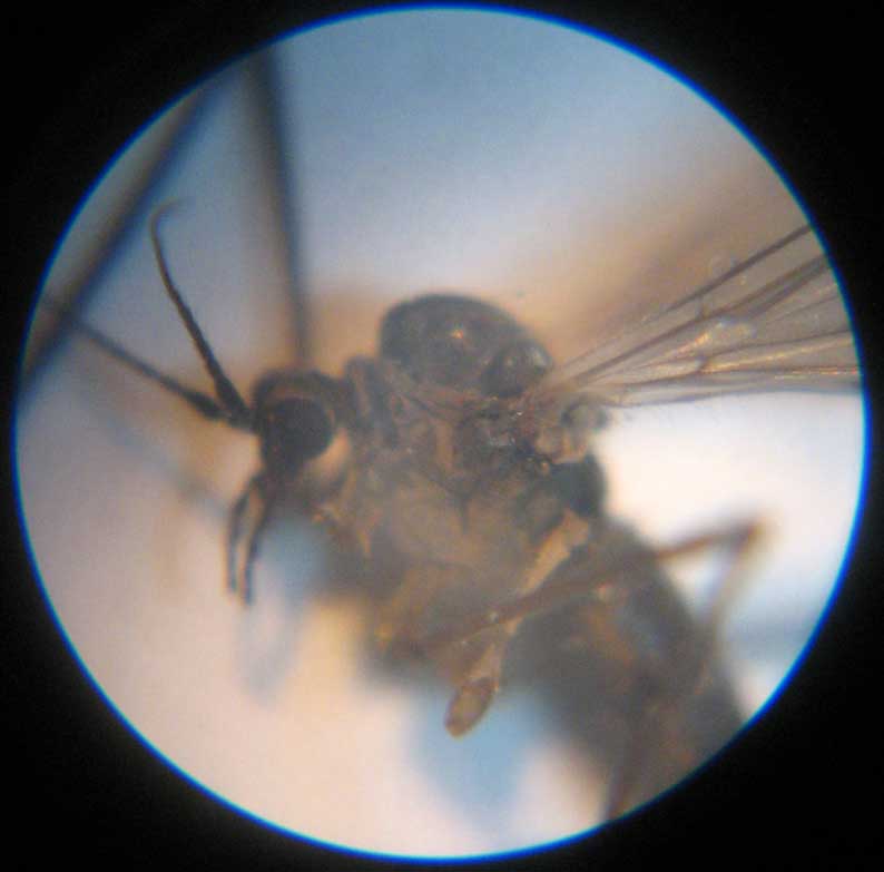 b0057679_849612.jpg