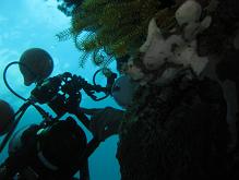 a0109187_18144957.jpg