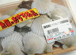 b0068687_14252970.jpg