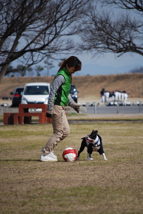 c0092787_13336.jpg