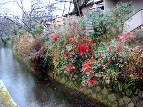 f0137694_18233098.jpg