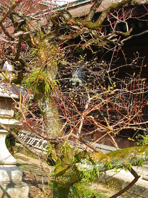 f0181394_15501497.jpg