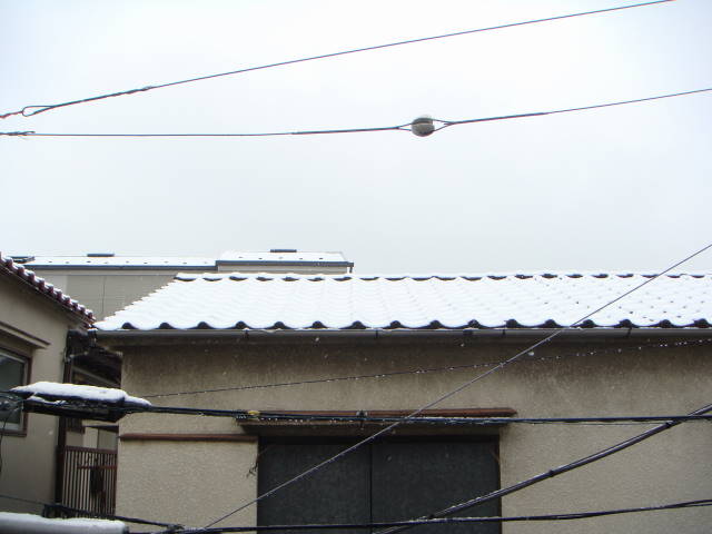 d0098295_2259567.jpg