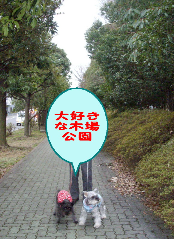 c0138198_1043165.jpg