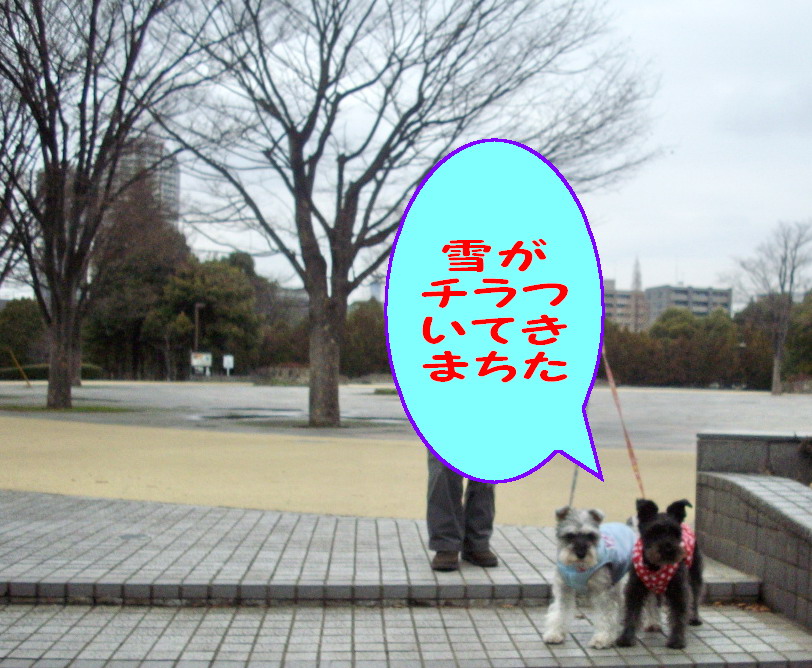 c0138198_10454438.jpg