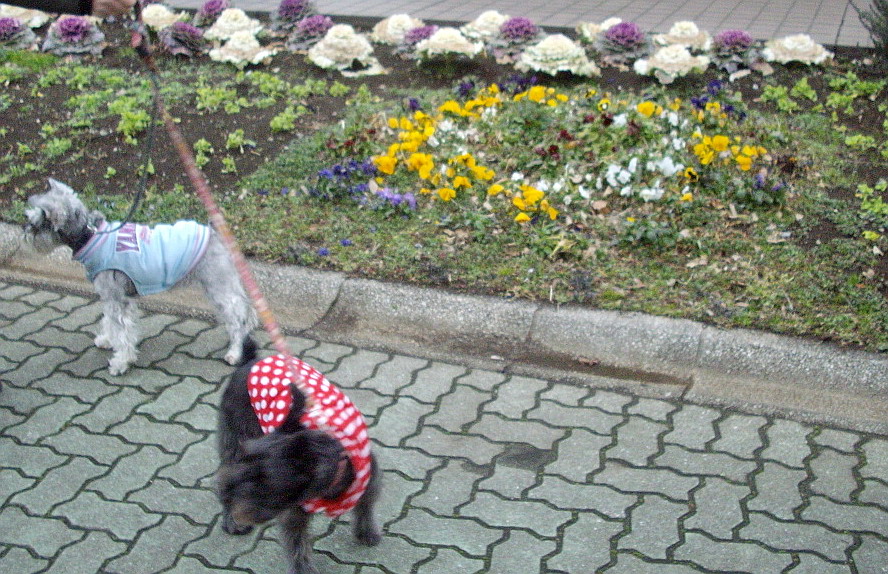 c0138198_1048826.jpg