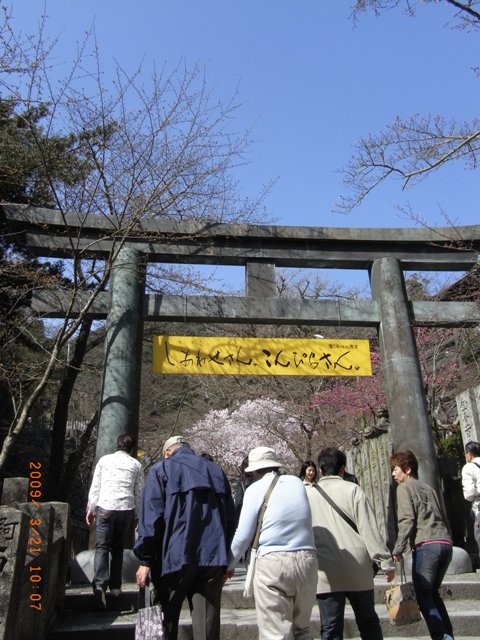 a0158099_204172.jpg
