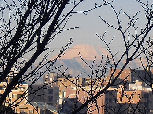 c0227800_7164888.jpg