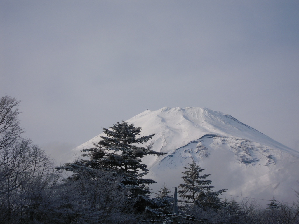 c0132608_171239.jpg
