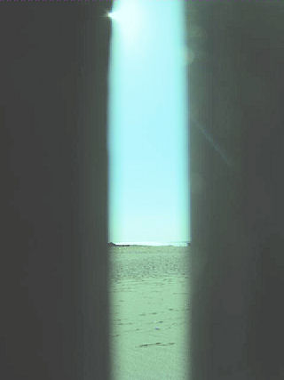 c0194712_553937.jpg