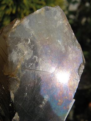 e0139012_21515286.jpg