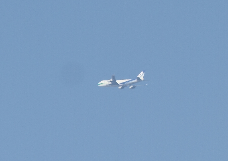 f0211615_202446100.jpg