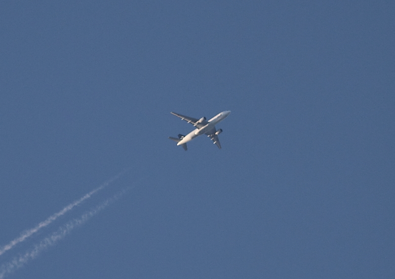 f0211615_20331361.jpg