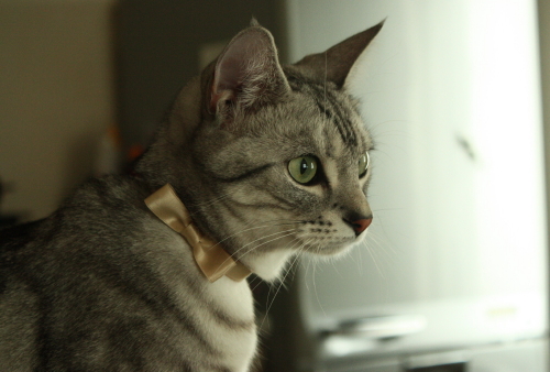 a0129020_10400100.jpg