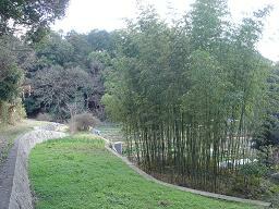 f0000521_6341661.jpg