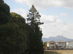 f0000521_6343984.jpg