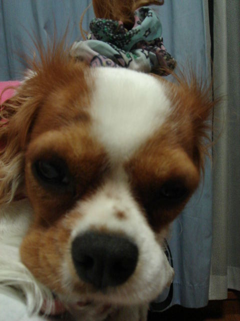 f0214121_8412448.jpg