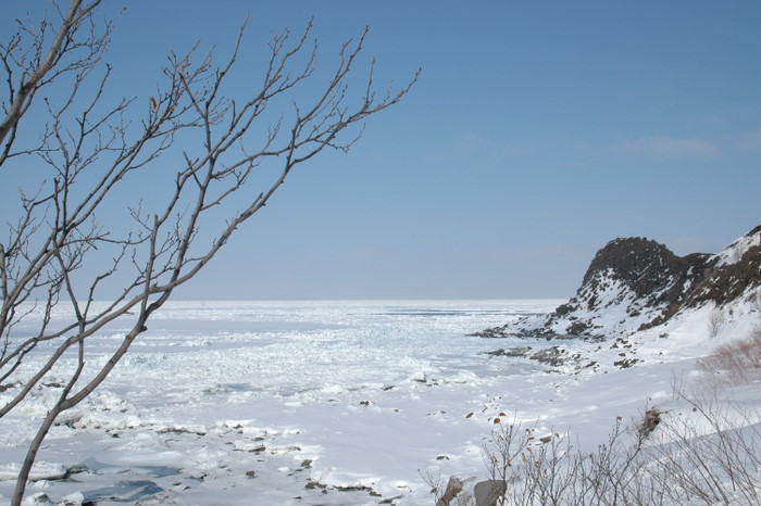 b0165522_1622913.jpg