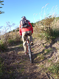 d0023725_1742718.jpg