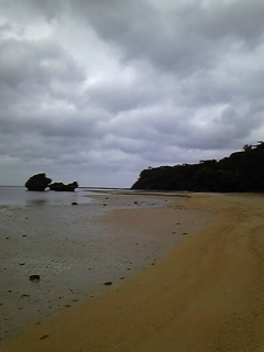 a0126128_2164622.jpg