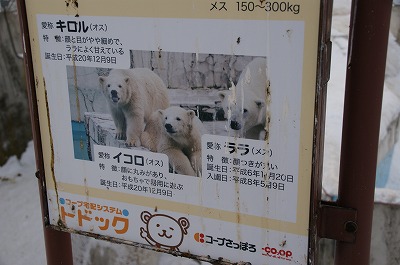 c0134029_13255456.jpg
