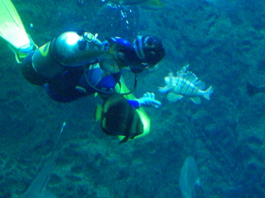 d0005632_0103059.jpg