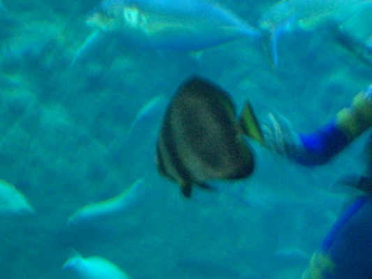 d0005632_0132013.jpg