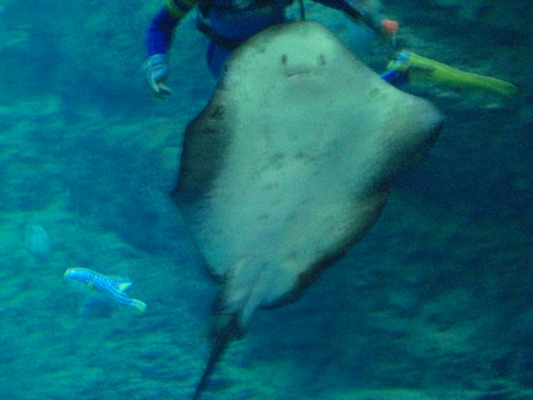 d0005632_0135011.jpg