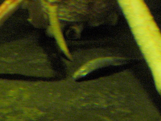 d0005632_0173049.jpg