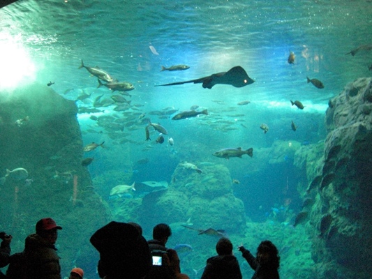 d0005632_0175890.jpg