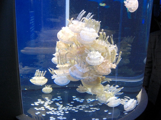d0005632_021427.jpg