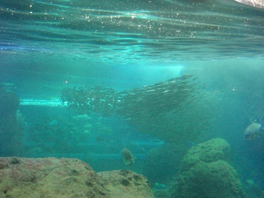 d0005632_024270.jpg