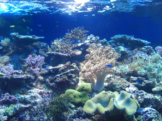 d0005632_0302413.jpg