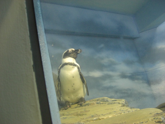 d0005632_0342596.jpg
