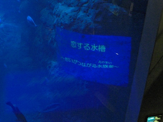 d0005632_0452448.jpg