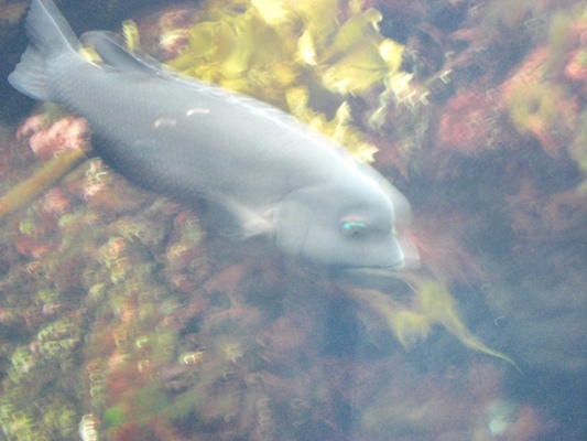 d0005632_05027.jpg