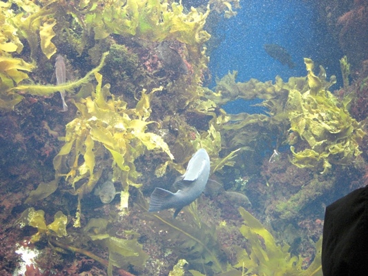 d0005632_053854.jpg