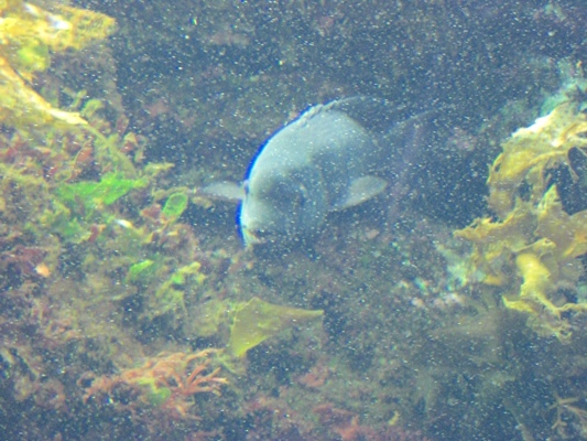 d0005632_062795.jpg