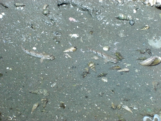 d0005632_075877.jpg