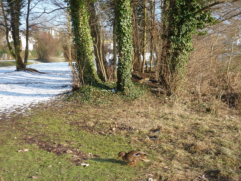 c0121241_863783.jpg