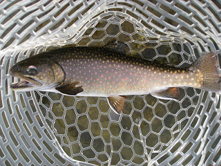 f0065341_9341869.jpg