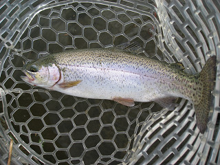 f0065341_9363990.jpg