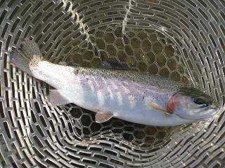 f0065341_938126.jpg