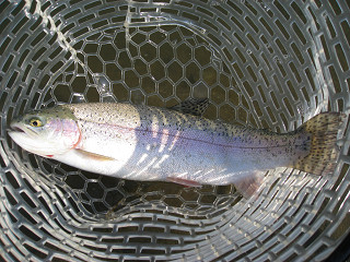 f0065341_9382994.jpg