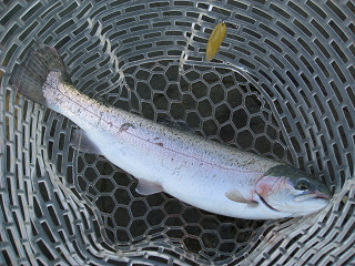 f0065341_9531550.jpg