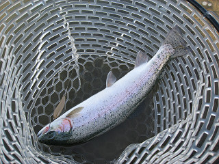 f0065341_9533144.jpg