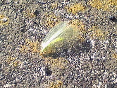 e0023643_23101919.jpg