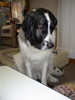 e0023643_2341782.jpg